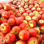 appels op streekmarkt Toldijk
