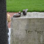 Urnenmonument in eigen tuin